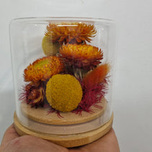 Load image into Gallery viewer, Dried flower Glass Domes