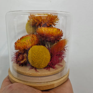 Dried flower Glass Domes