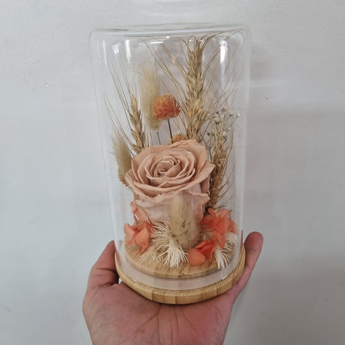 Dried flower Glass Domes