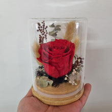 Load image into Gallery viewer, Dried flower Glass Domes